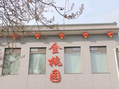 -汾阳金桃园住宿