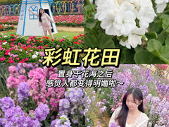 -盈香心动乐园