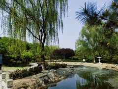-东升八家郊野公园