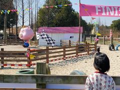 -田园东方蜜桃村的田野营地