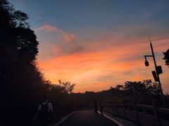 -阳台山森林公园