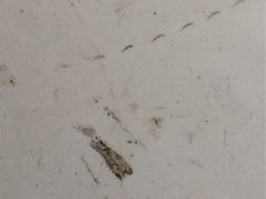 -荔枝楼酒家(员村东璟店)