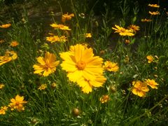 -金百万烤鸭店(马甸店)