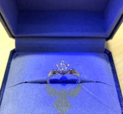 -钻石小鸟钻戒婚戒定制(石路店)