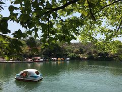 -白马涧龙池景区