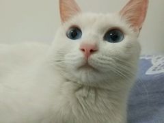 -美联众合动物医院·24h转诊中心