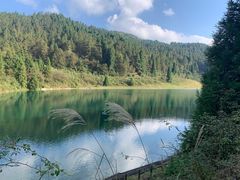 -武陵山森林公园