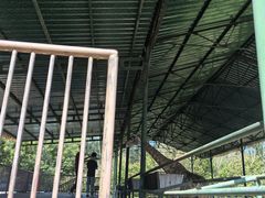 -秦皇岛野生动物园