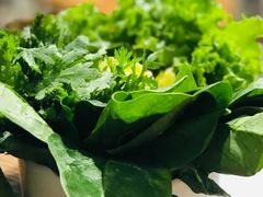 菠菜-十六蒲(桂林路店)