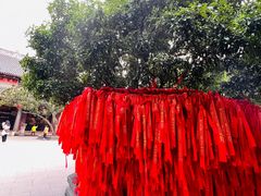 -龙华素斋(龙华路店)