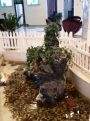 -安徽合肥韩美整形外科医院