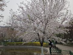 -泰丰公园