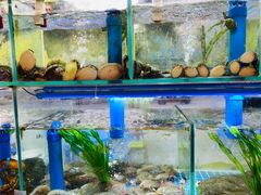 水产区-富临港·蒸汽海鲜·手抓海鲜·炒菜(栈桥店)