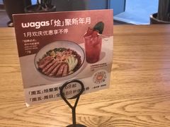 -Wagas沃歌斯(枫蓝国际店)