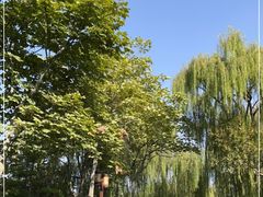 -济南大明湖景区
