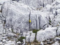 -玉龙雪山蓝月谷