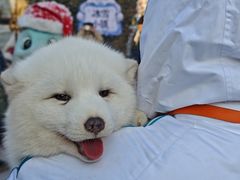 -波塞冬旅游度假区