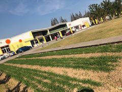 -前小桔亲子创意农场·草莓采摘·露营烧烤