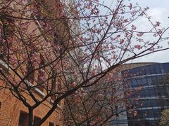 -贵州师范大学(宝山北路校区)