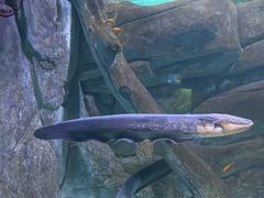 -常州海昌海洋探索馆