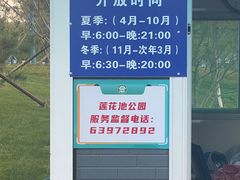 -莲花池公园
