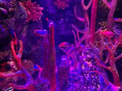 -沈阳海洋探索中心