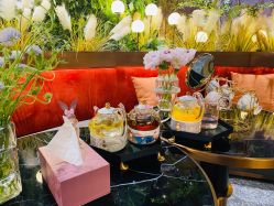 点击看大图 -花隐·美芙炫海菲秀皮肤管理中心