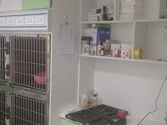 -汪喵宠物医院·骨科心脏影像·犬猫急重症ICU诊疗中心(成华分院)