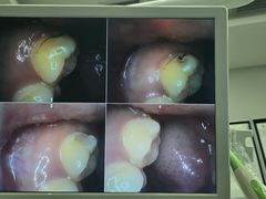 -牙博士口腔品牌连锁(杨浦店)