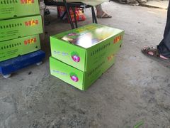 -马陆小张葡萄园农家乐