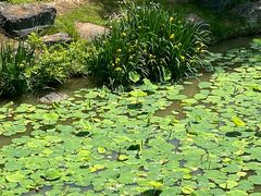 -西安浐灞国家湿地公园