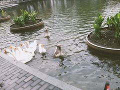 -杭州师范大学(下沙校区)