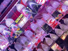-中环花鸟鱼虫市场