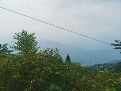 -青城山