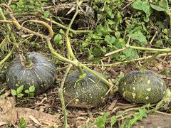 -仙海旅游度假区