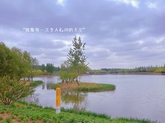 -东郊湿地公园