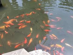 -易记皮肚面(明瓦廊店)