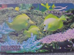 -上海海洋水族馆