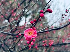 -江南大学(蠡湖校区)