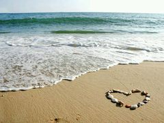 -西涌国际滨海旅游区