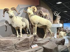 -陕西自然博物馆