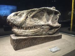 -自贡恐龙博物馆