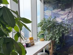 -马泷齿科·成都锦江置略马泷口腔门诊部(IFS国金中心店)