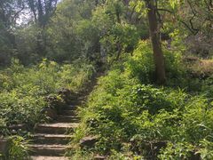 -灵岩山风景区