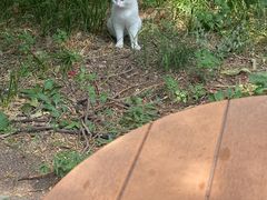 -北京大学-燕南食堂