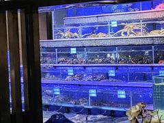 -青蓬蒸汽海鲜·深圳老字号·团建聚会(壹方城店)