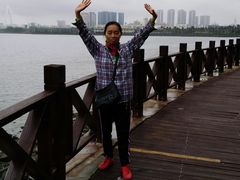 -万绿园