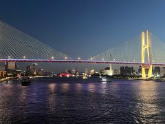 -黄浦江游览(十六铺码头)