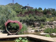 -抱犊寨风景区