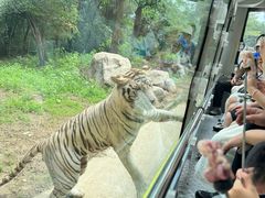 -西安秦岭野生动物园